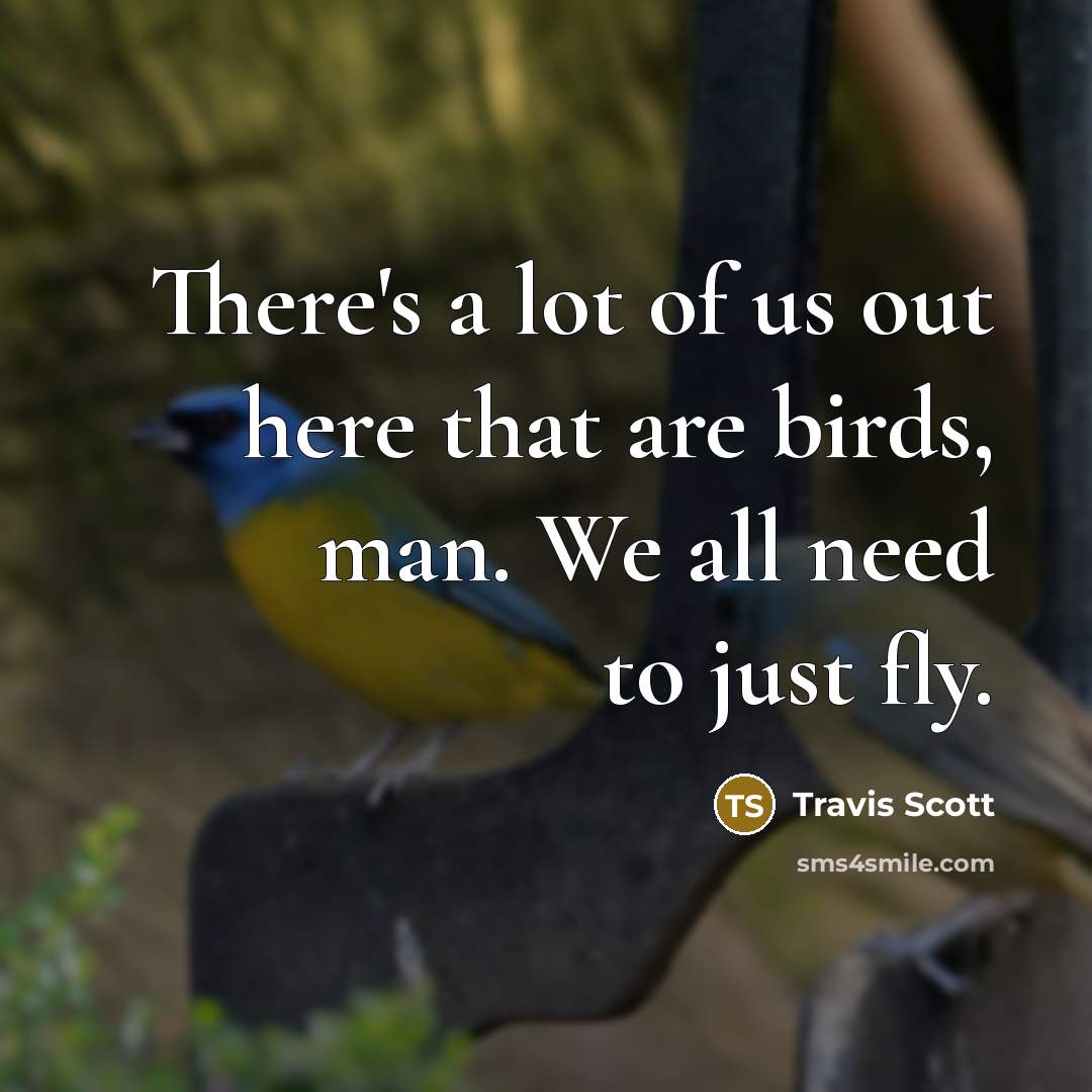 “There's a lot of us out here that are birds,…” quote by Travis Scott