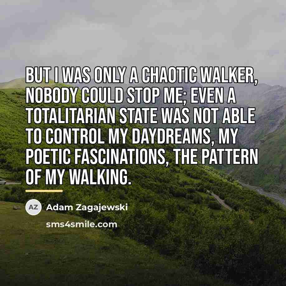 “But I was only a chaotic walker, nobody could stop…” quote by Adam Zagajewski