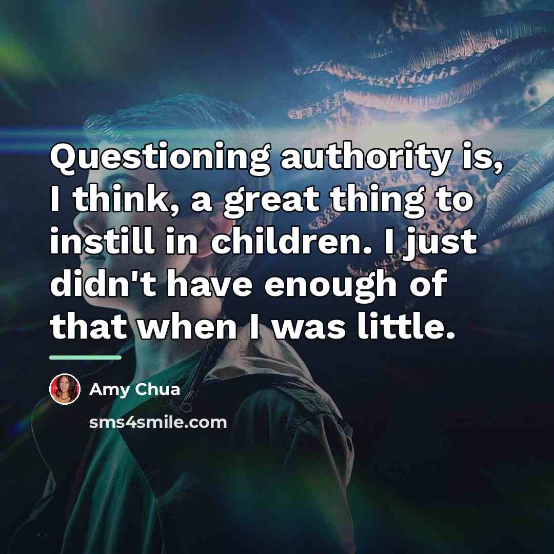 “Questioning authority is, I think, a great thing to instill…” quote by Amy Chua