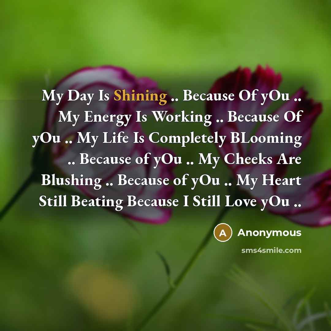 “My Day Is Shining .. Because Of yOu .. My…” quote by Anonymous