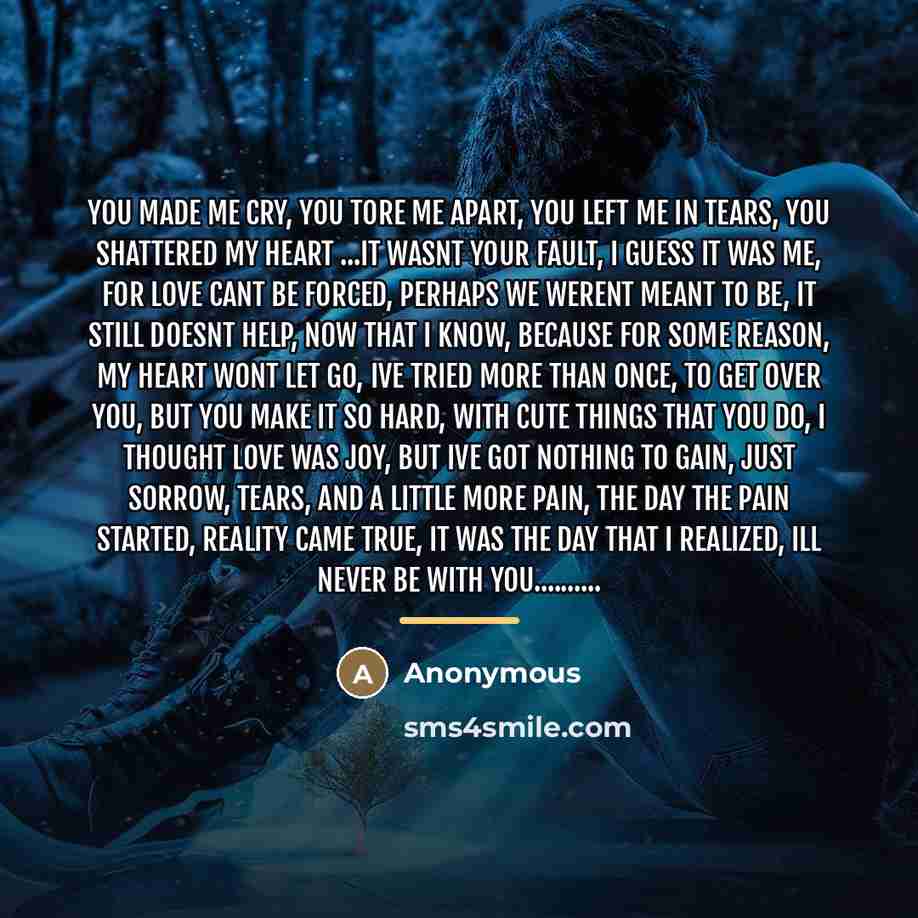 “You Made Me Cry, You Tore Me Apart, You Left…” quote by Anonymous