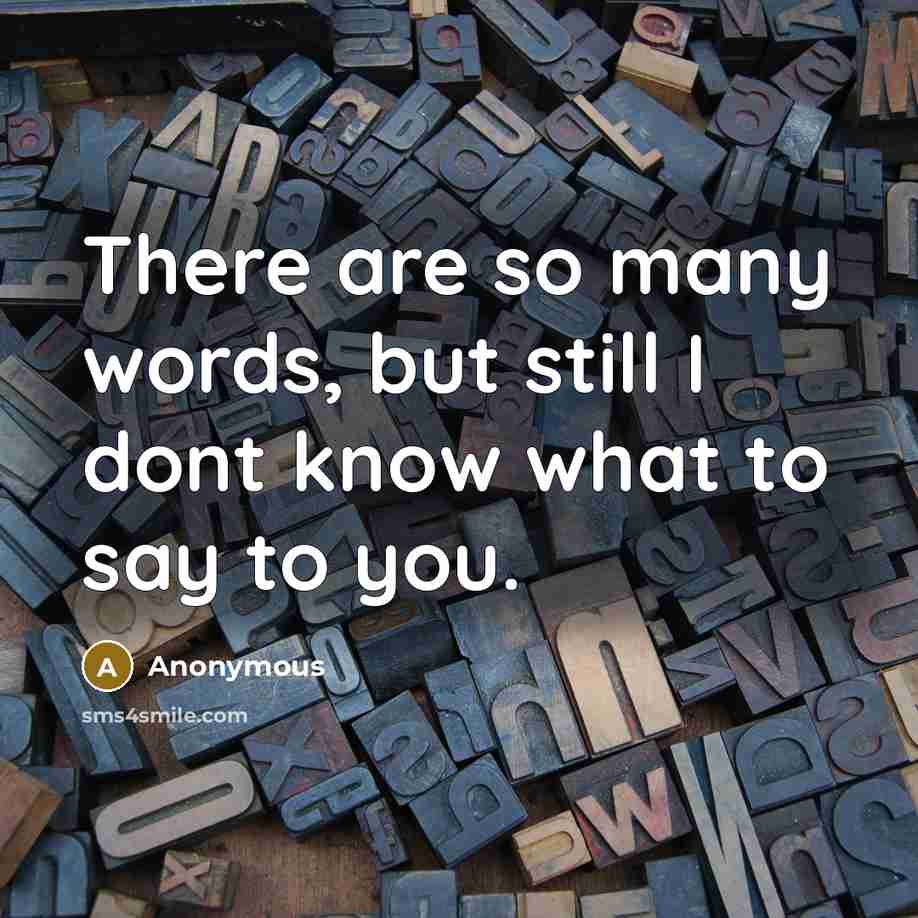 “There are so many words, but still I dont know what to say to you.” quote by Anonymous