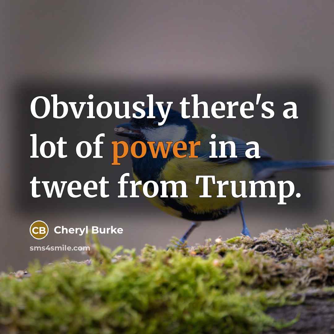 “Obviously there's a lot of power in a tweet from…” quote by Cheryl Burke