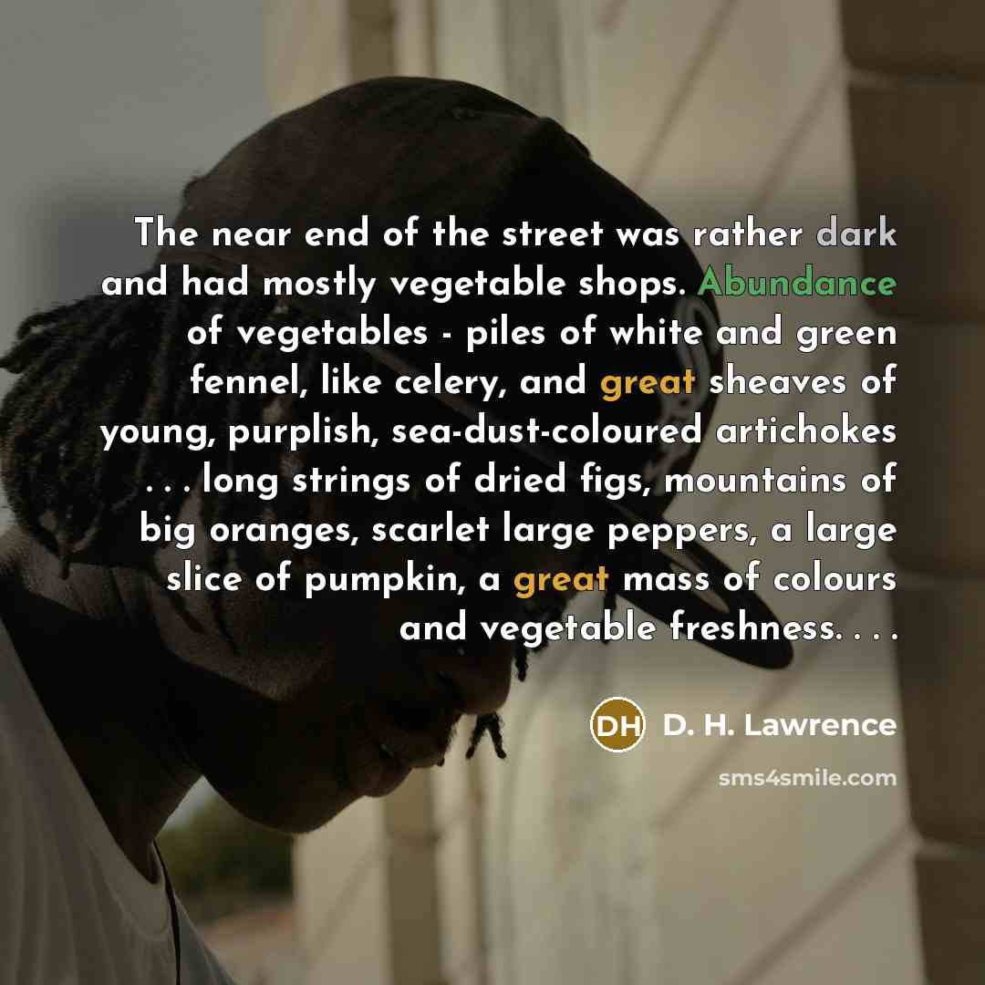 “The near end of the street was rather dark and…” quote by D. H. Lawrence