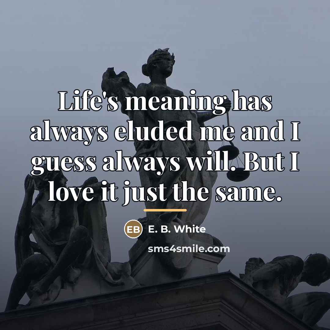 “Life's meaning has always eluded me and I guess always…” quote by E. B. White