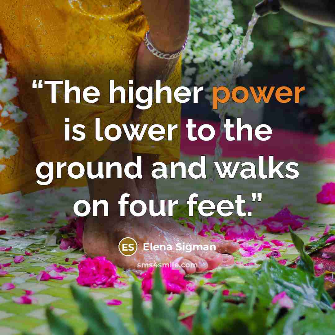 “The higher power is lower to the ground and walks on four feet.” quote by Elena Sigman