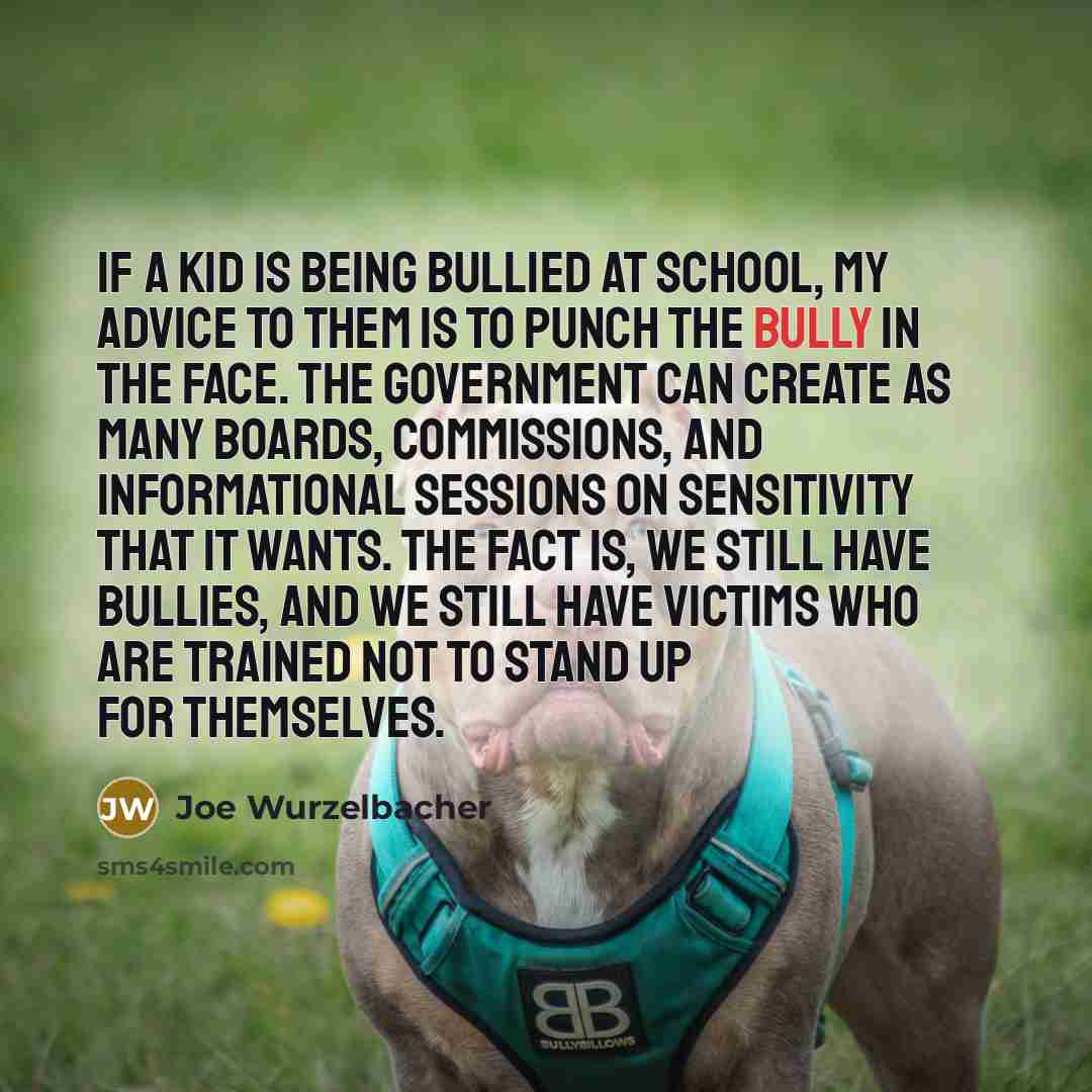 “If a kid is being bullied at school, my advice…” quote by Joe Wurzelbacher