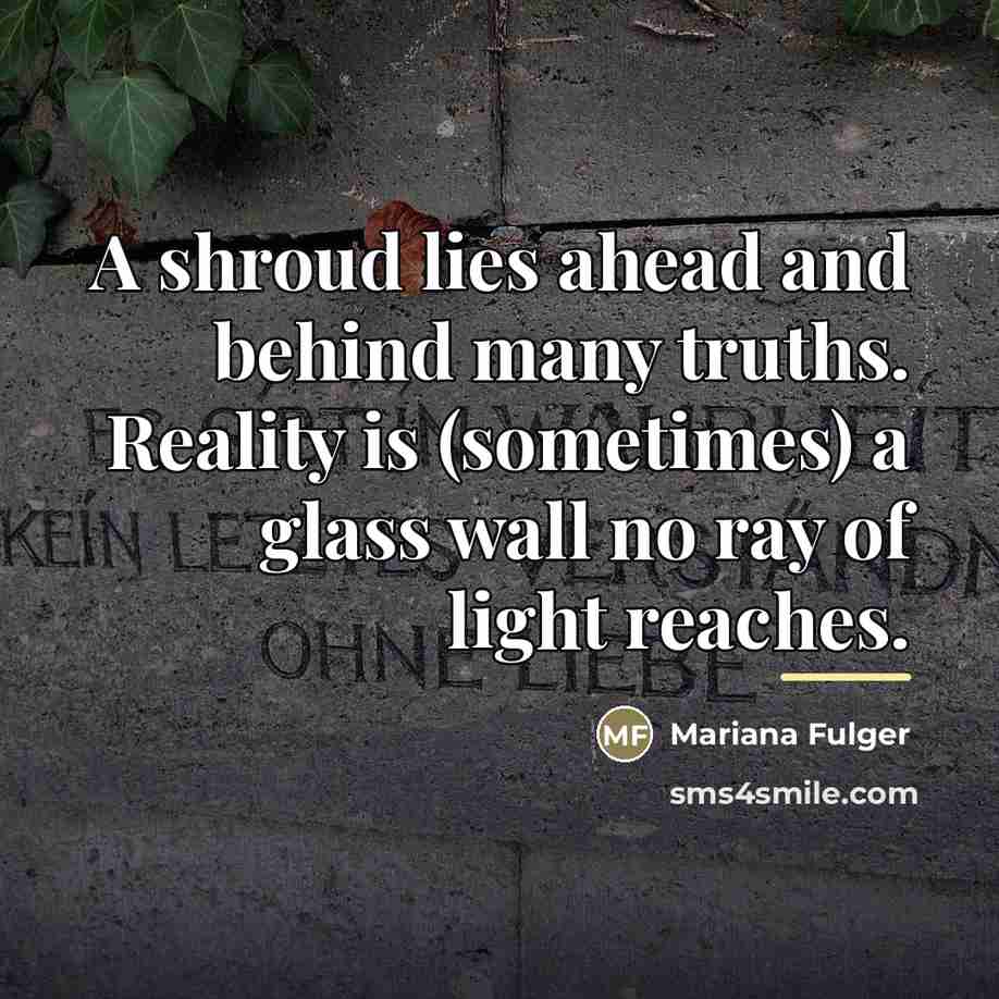 “A shroud lies ahead and behind many truths. Reality is…” quote by Mariana Fulger