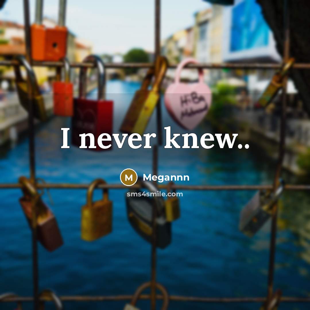 “I never knew..” quote by Megannn