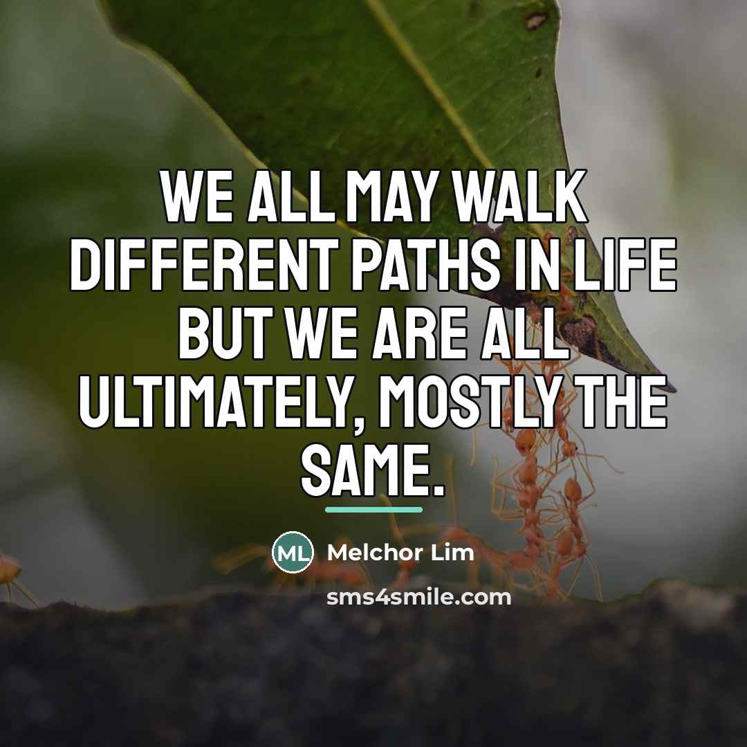 “We all may walk different paths in life but we…” quote by Melchor Lim