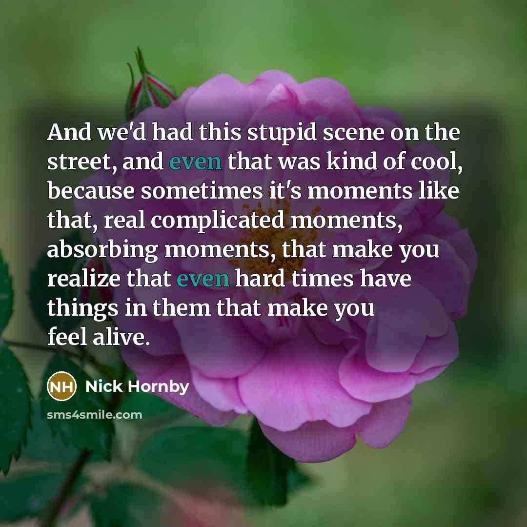 “And we'd had this stupid scene on the street, and…” quote by Nick Hornby