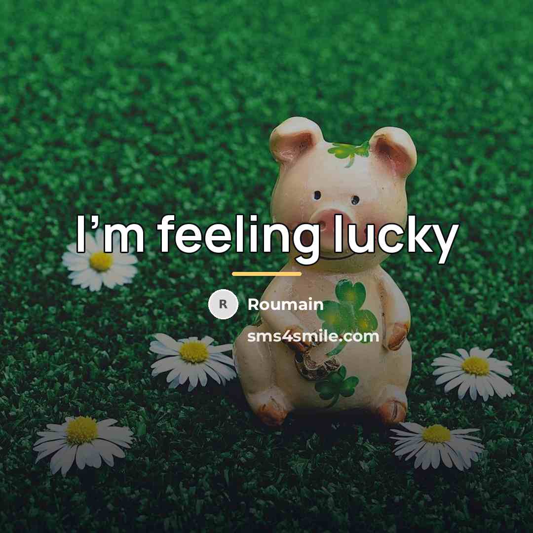 “I'm feeling lucky…” quote by Roumain