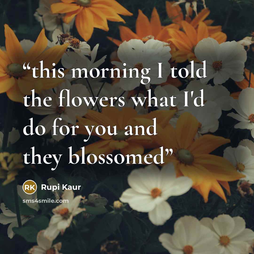 “this morning I told the flowers what I'd do for you and they blossomed” quote by Rupi Kaur