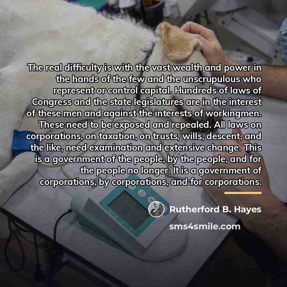 “The real difficulty is with the vast wealth and power…” quote by Rutherford B. Hayes