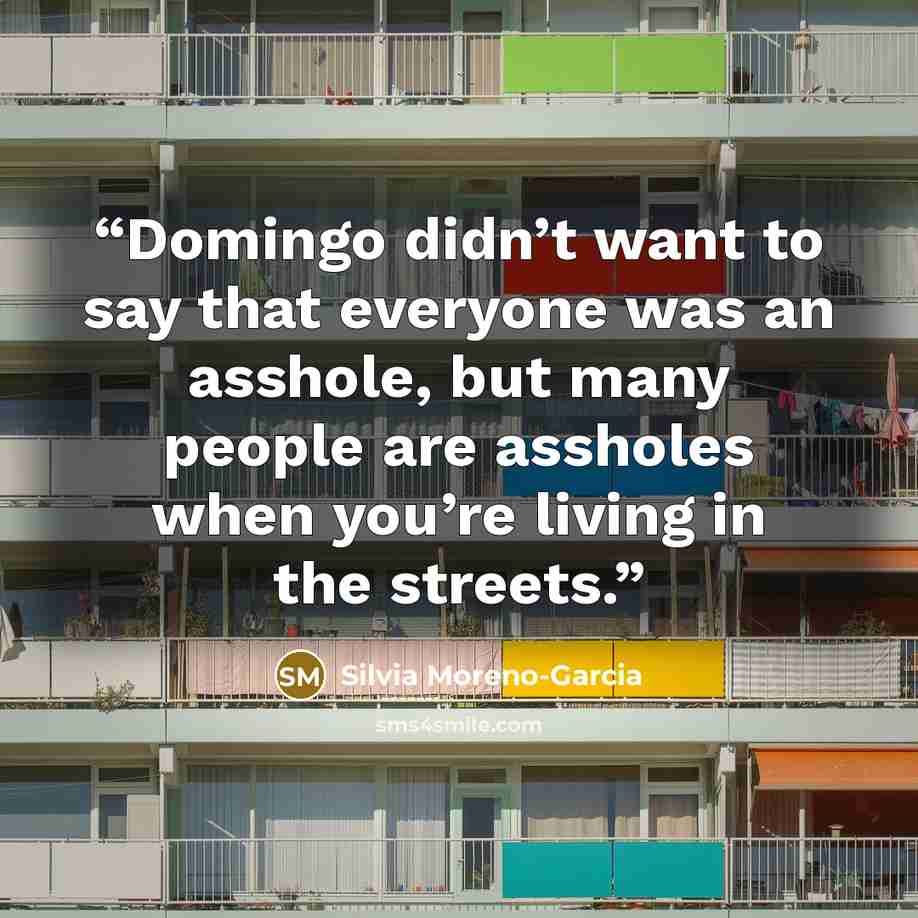 “Domingo didn’t want to say that everyone was an asshole, but many people are assholes when you’re living in the streets.” quote by Silvia Moreno-Garcia