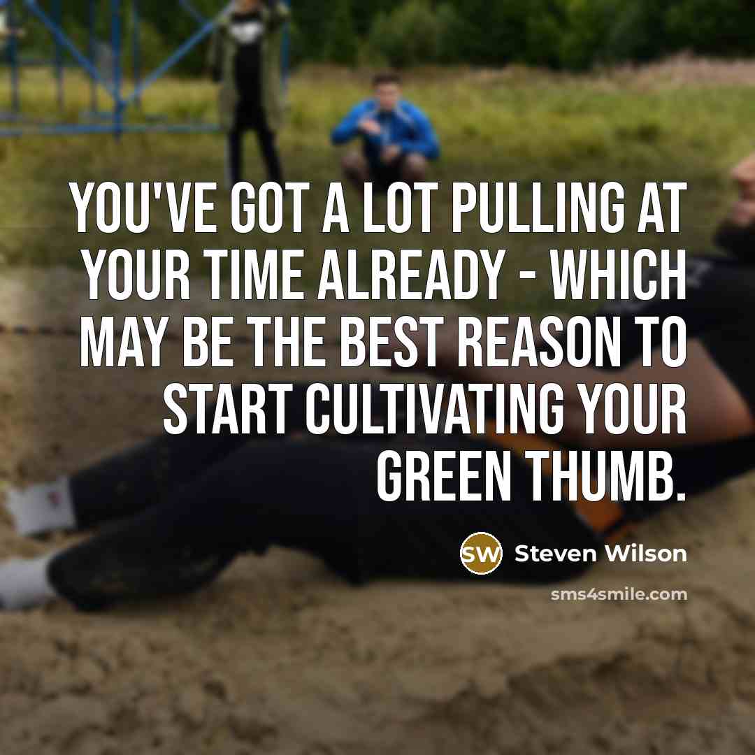 “You've got a lot pulling at your time already -…” quote by Steven Wilson