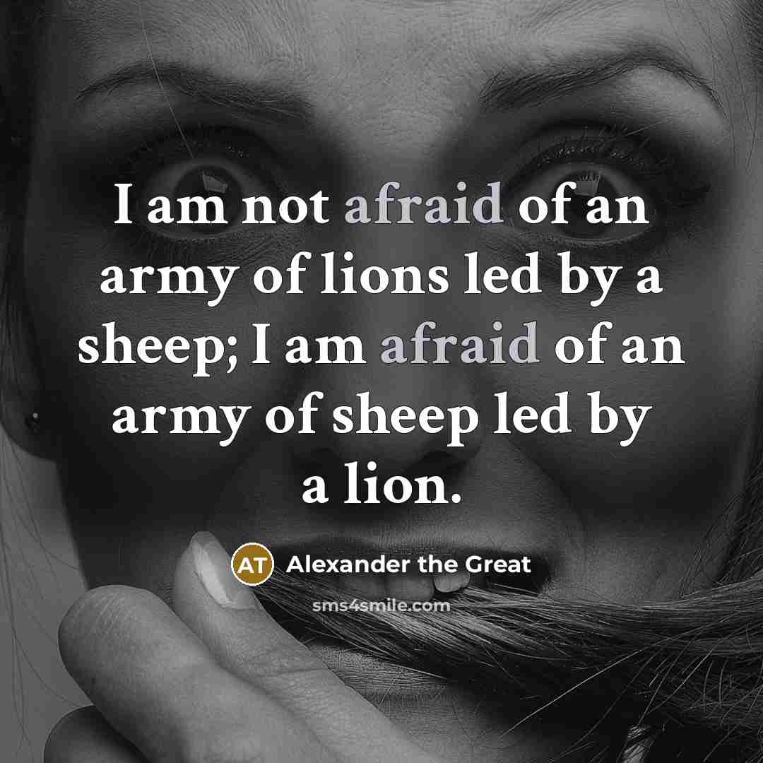 “I am not afraid of an army of lions led…” quote by Alexander the Great