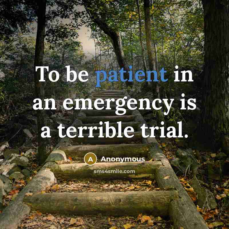 “To be patient in an emergency is a terrible trial.…” quote by Anonymous