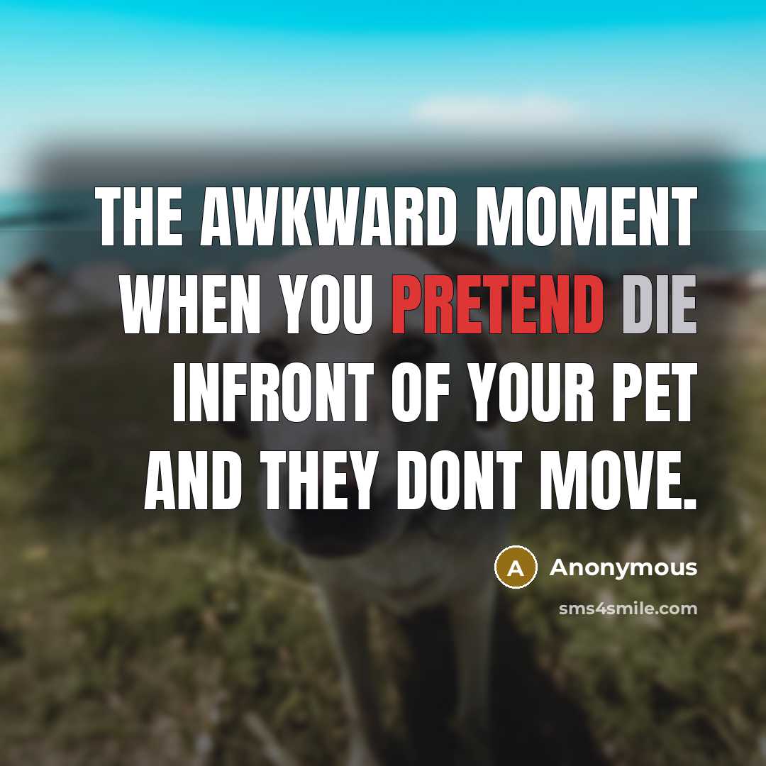 “The awkward moment when you pretend die infront of your pet and they dont move.” quote by Anonymous