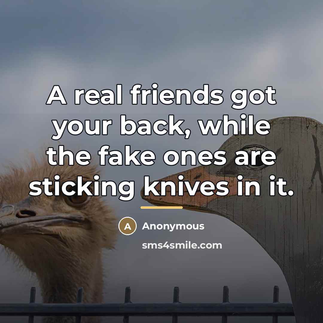 “A real friends got your back, while the fake ones…” quote by Anonymous
