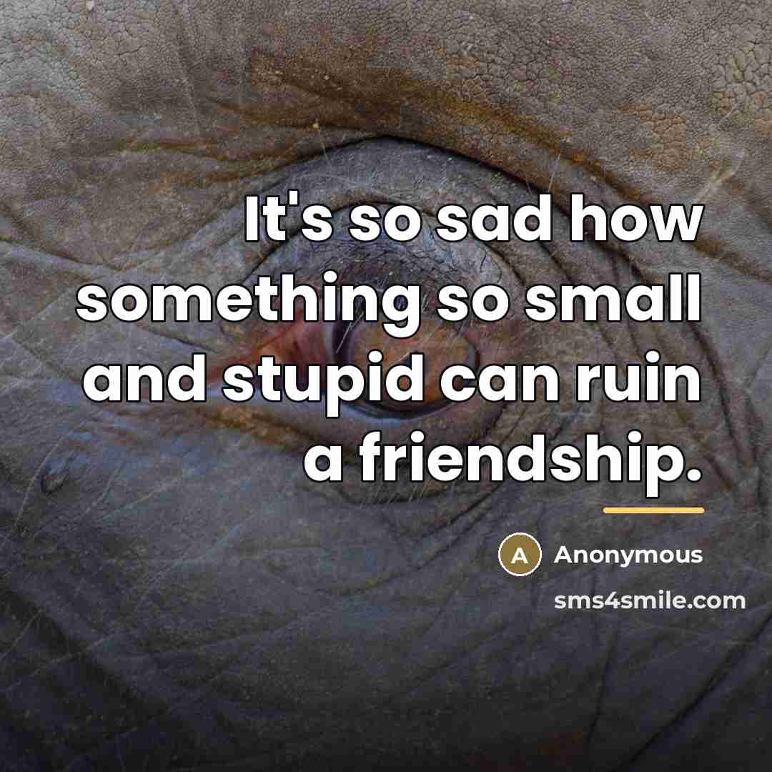 “It's so sad how something so small and stupid can…” quote by Anonymous