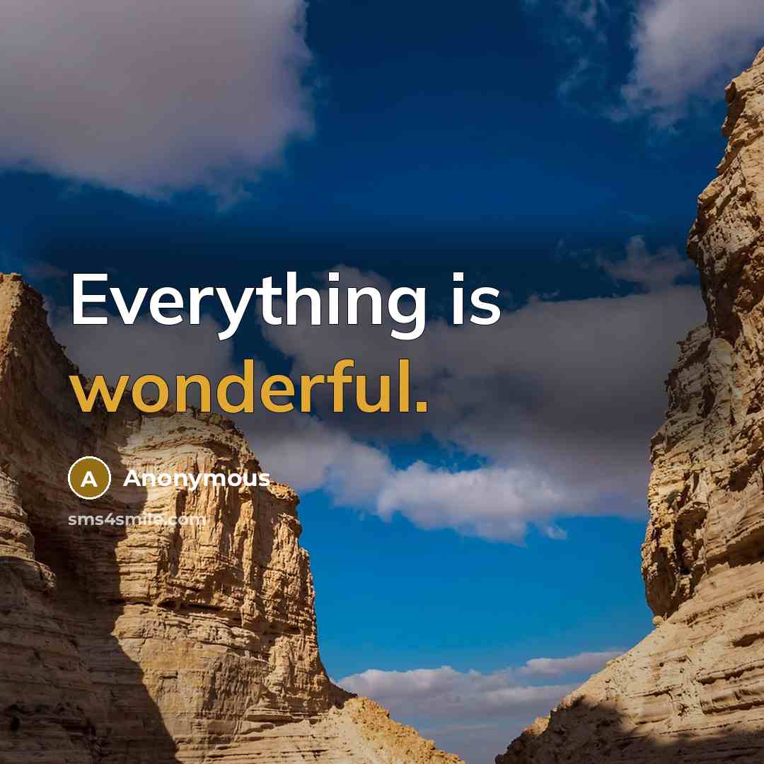 “Everything is wonderful.” quote by Anonymous