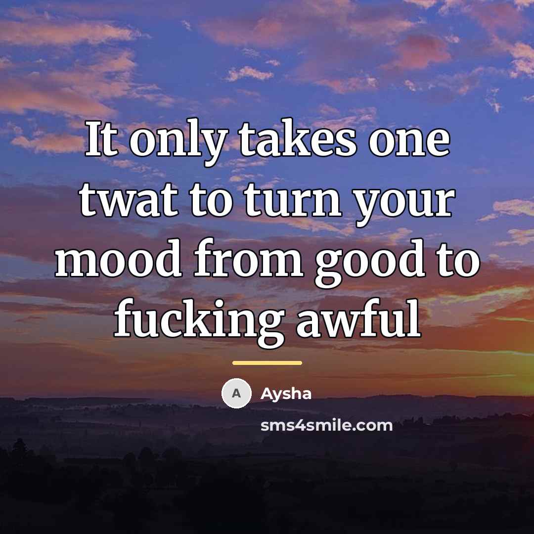 “It only takes one twat to turn your mood from…” quote by Aysha