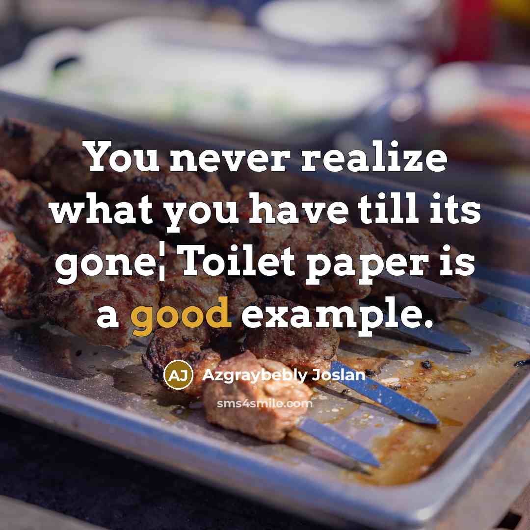 “You never realize what you have till its gone¦ Toilet paper is a good example.” quote by Azgraybebly Joslan