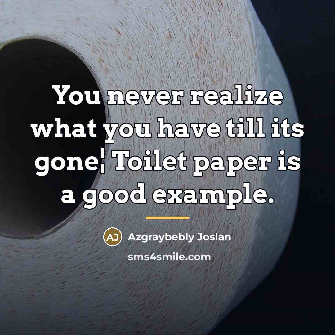 “You never realize what you have till its gone¦ Toilet…” quote by Azgraybebly Joslan