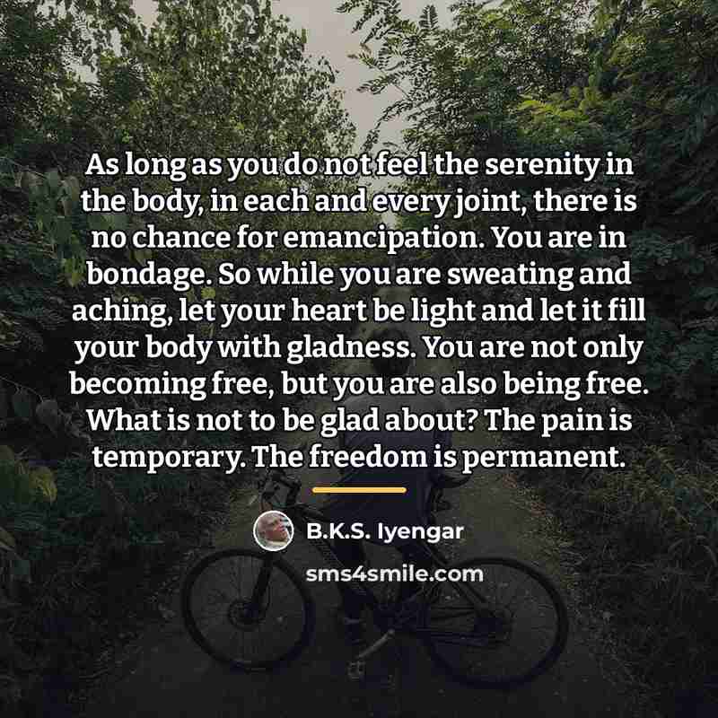 “As long as you do not feel the serenity in…” quote by B.K.S. Iyengar