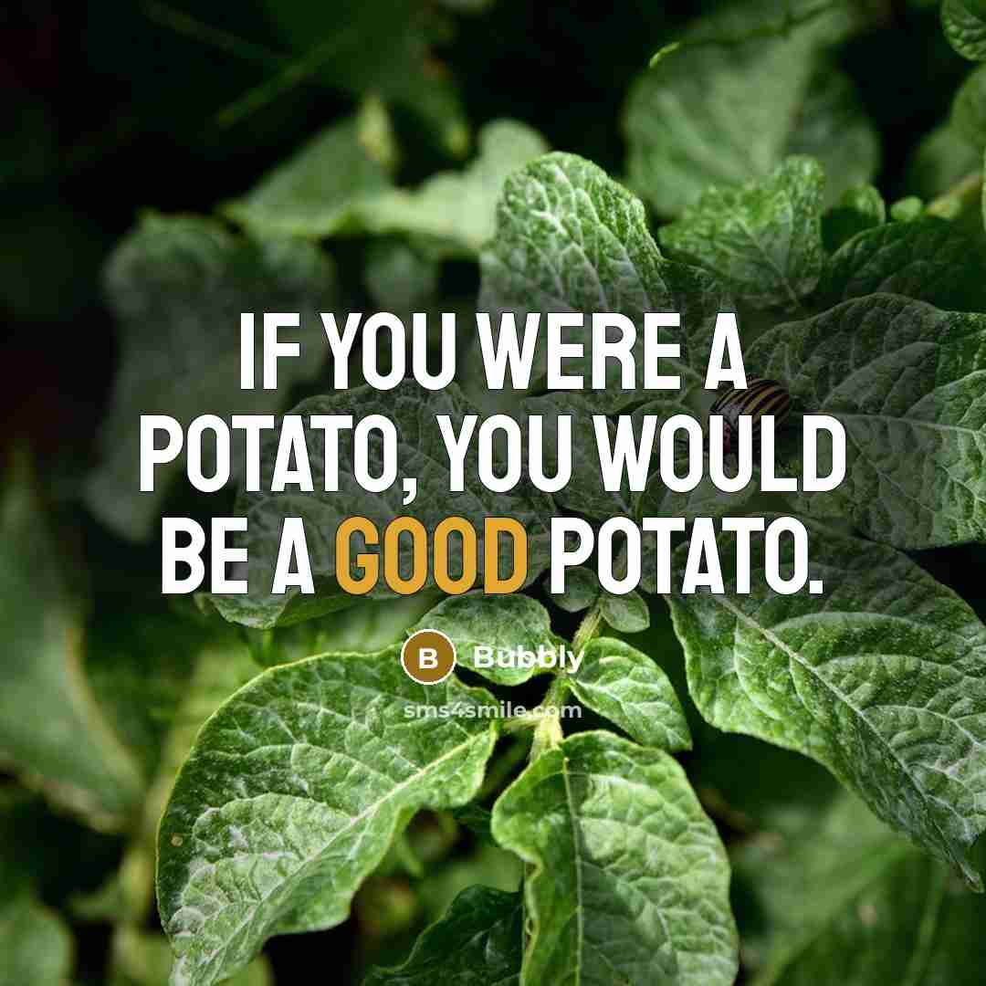“If you were a potato, you would be a good…” quote by Bubbly