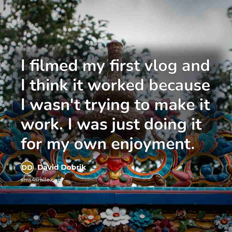 “I filmed my first vlog and I think it worked…” quote by David Dobrik