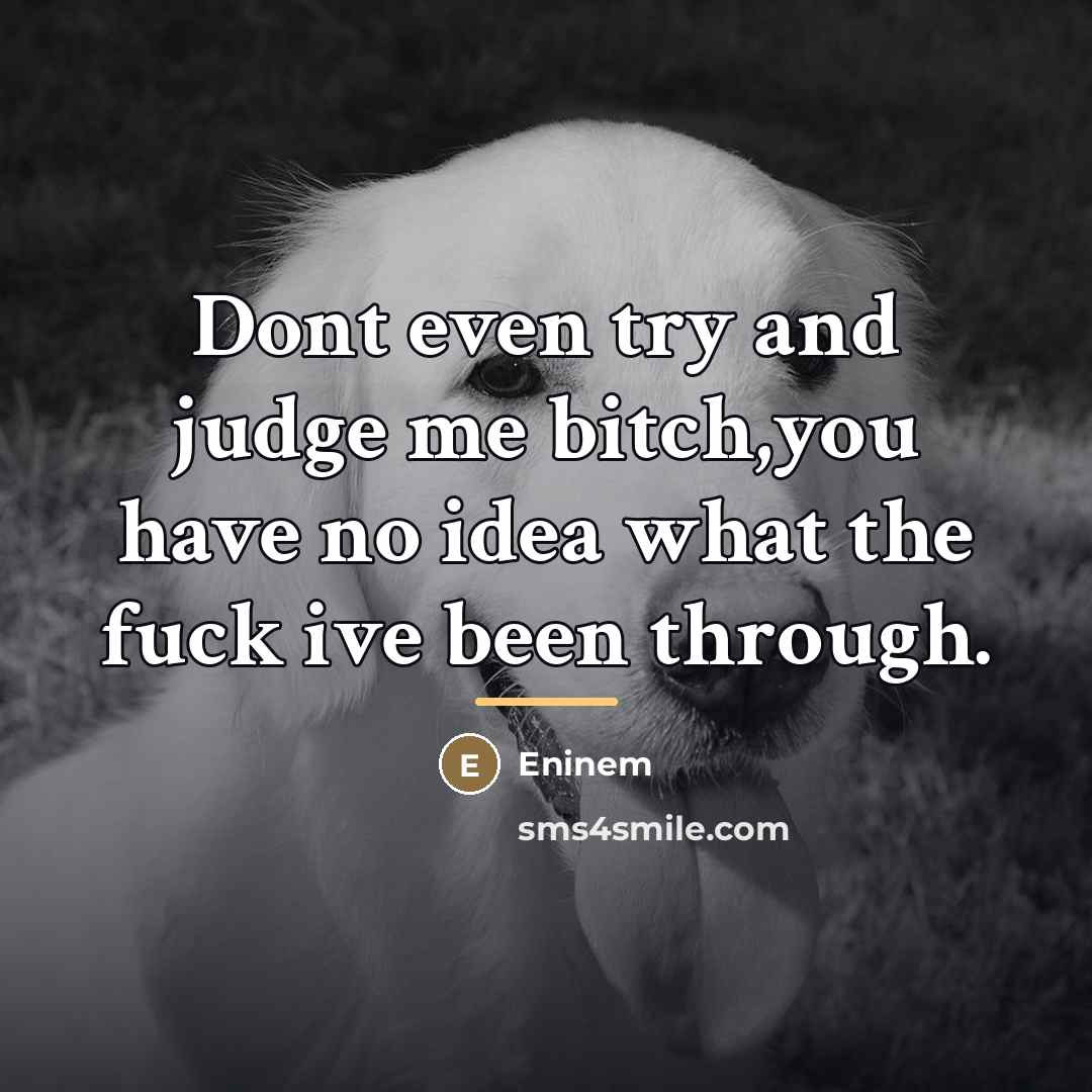 “Dont even try and judge me bitch,you have no idea…” quote by Eninem