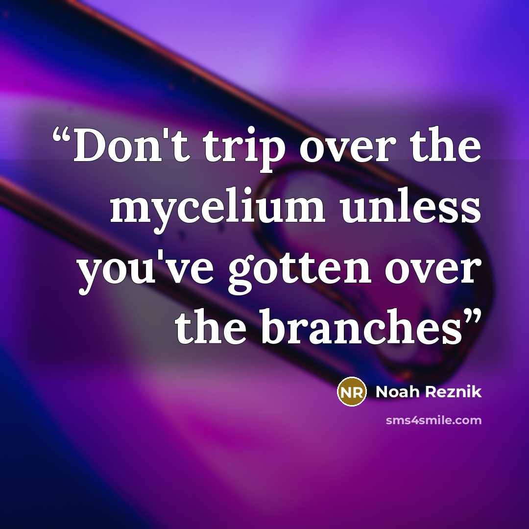 “Don't trip over the mycelium unless you've gotten over the branches” quote by Noah Reznik