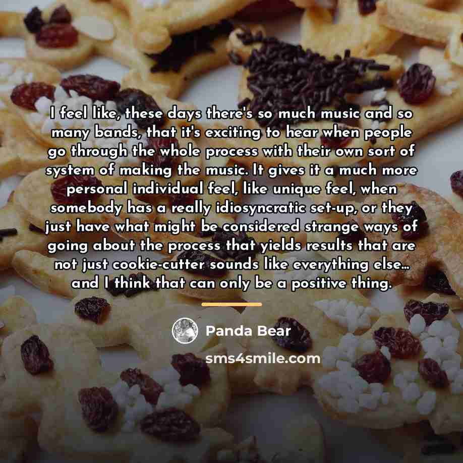 “I feel like, these days there's so much music and…” quote by Panda Bear