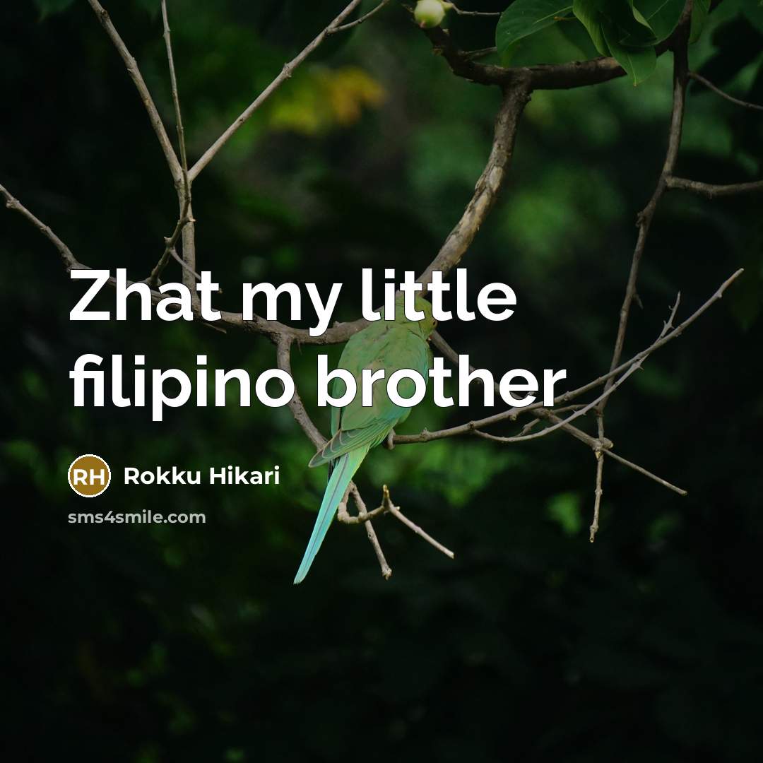 “Zhat my little filipino brother…” quote by Rokku Hikari