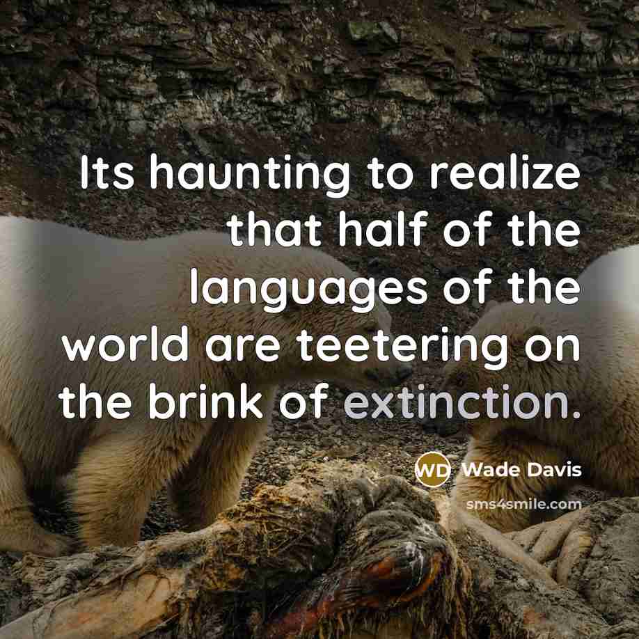 “Its haunting to realize that half of the languages of…” quote by Wade Davis