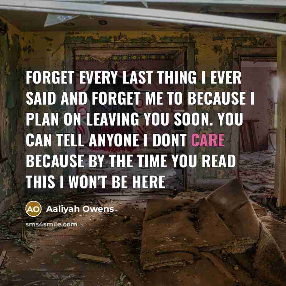 “Forget every last thing I ever said and forget me…” quote by Aaliyah Owens