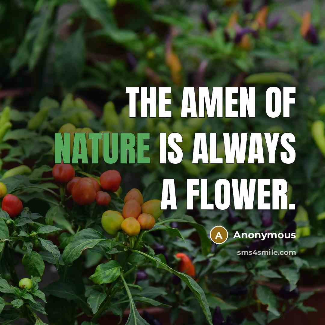 “The Amen of nature is always a flower.…” quote by Anonymous