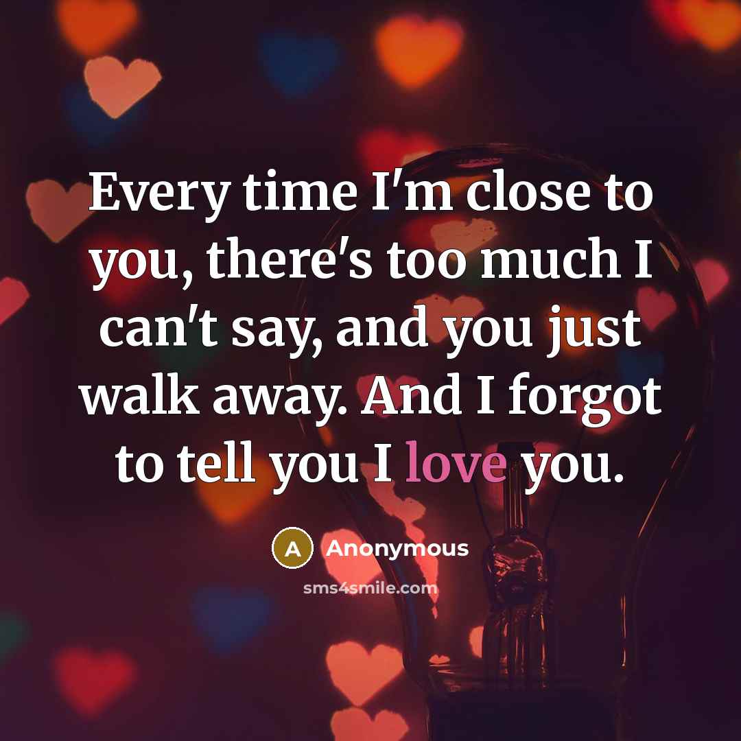 “Every time I'm close to you, there's too much I can't say, and you just walk away. And I forgot to tell you I love you.” quote by Anonymous