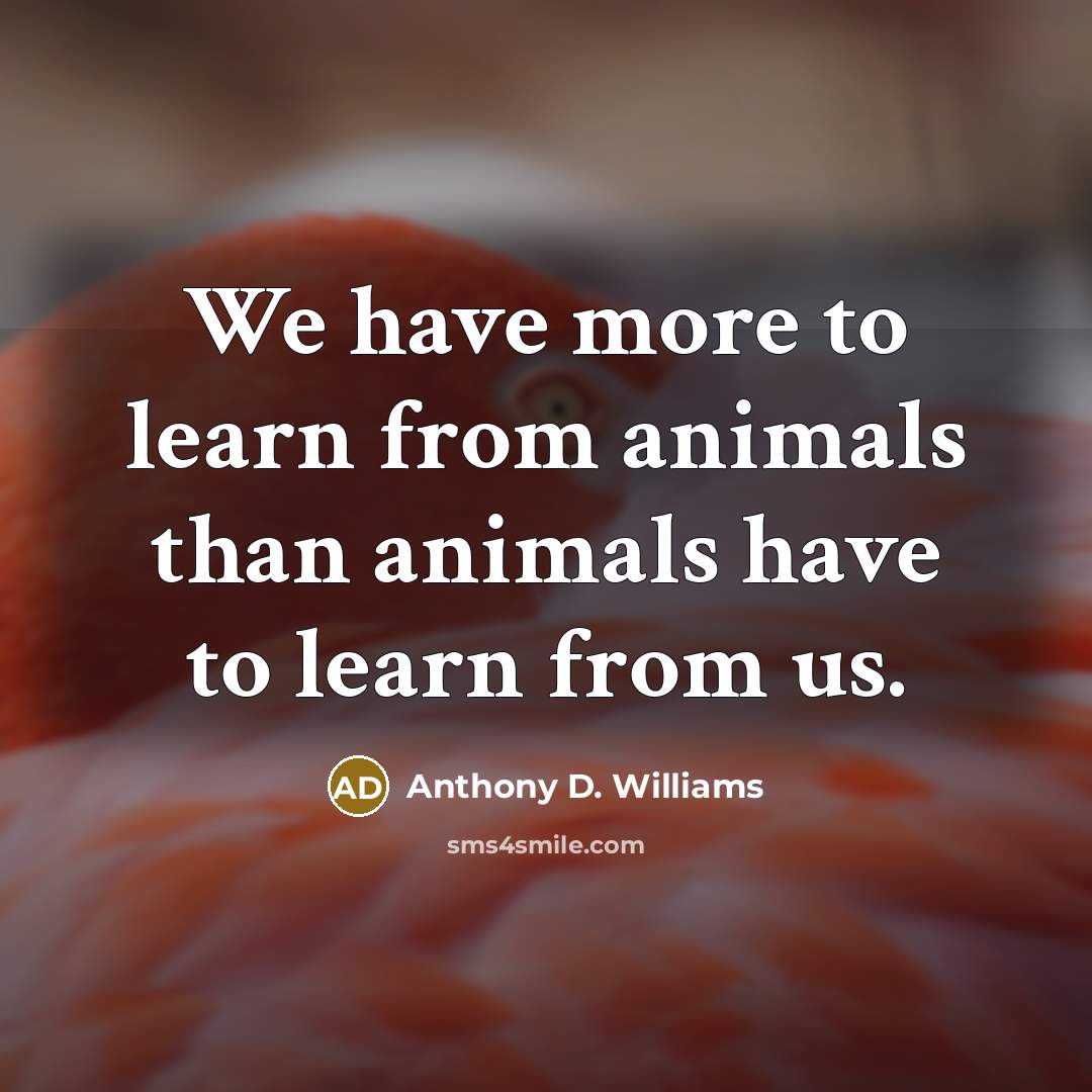 “We have more to learn from animals than animals have…” quote by Anthony D. Williams