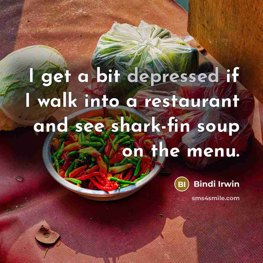 “I get a bit depressed if I walk into a restaurant and see shark-fin soup on the menu.” quote by Bindi Irwin