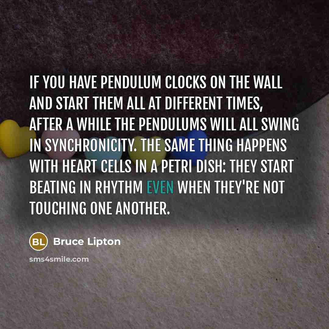 “If you have pendulum clocks on the wall and start…” quote by Bruce Lipton