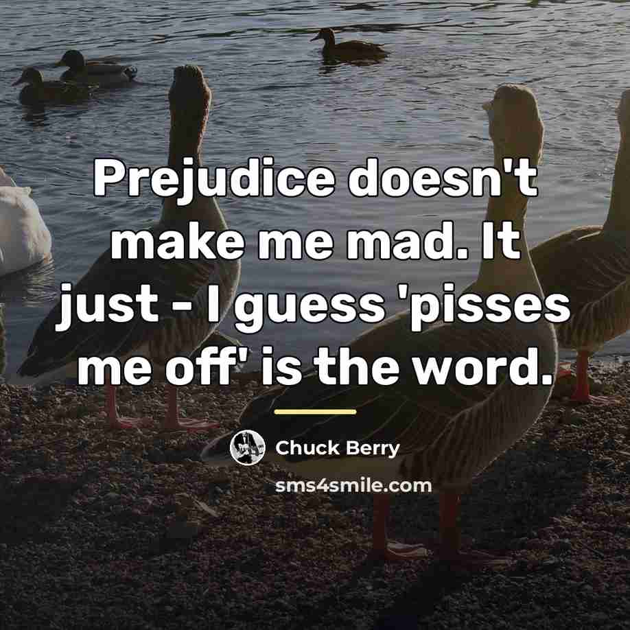 “Prejudice doesn't make me mad. It just - I guess…” quote by Chuck Berry