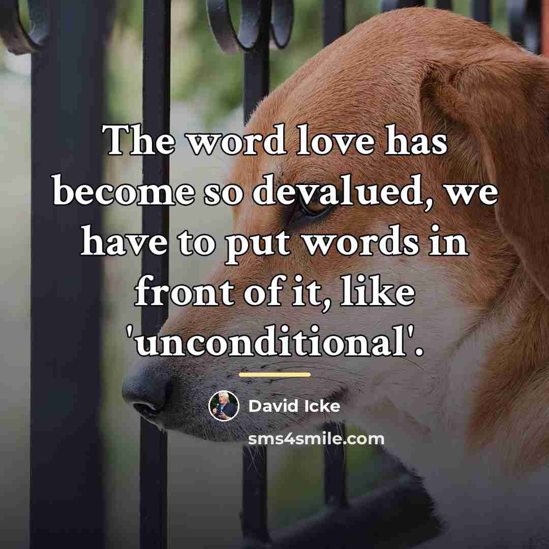 “The word love has become so devalued, we have to…” quote by David Icke