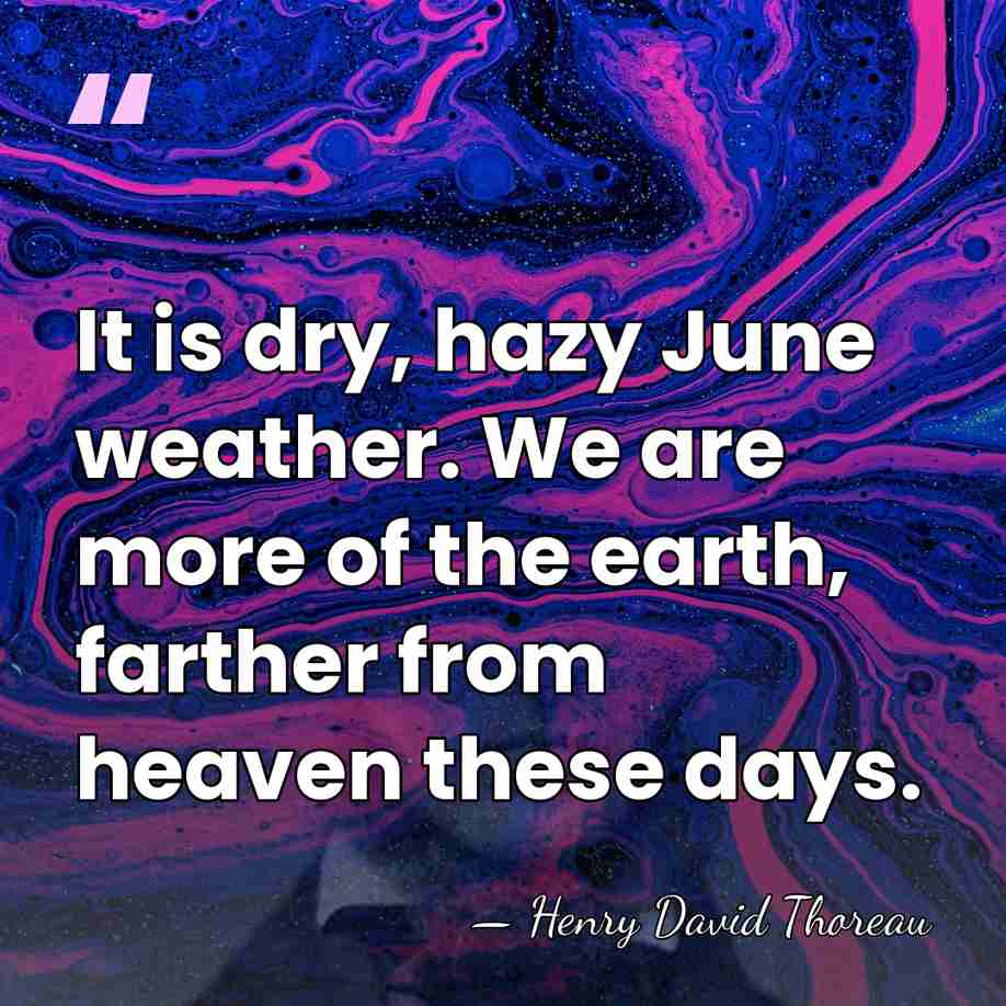 It is dry, hazy June weather. We are more of the earth,&hellip; - Henry David Thoreau