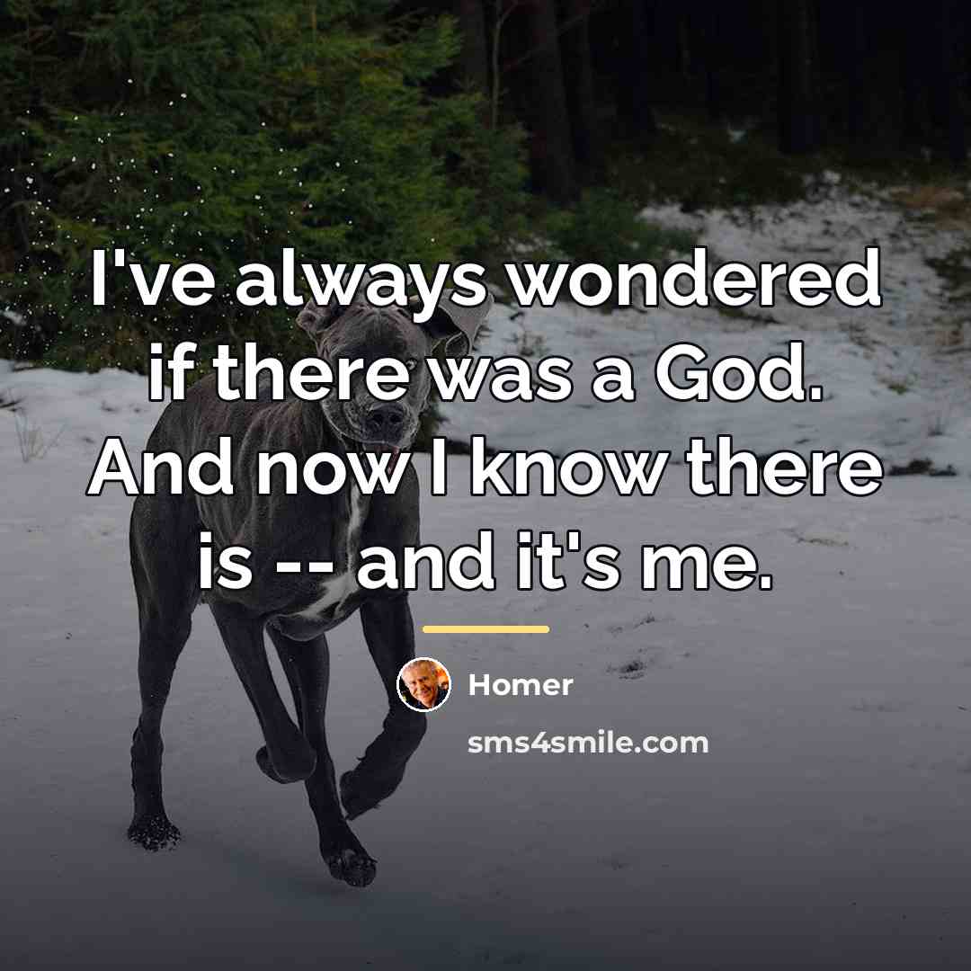 “I've always wondered if there was a God. And now…” quote by Homer