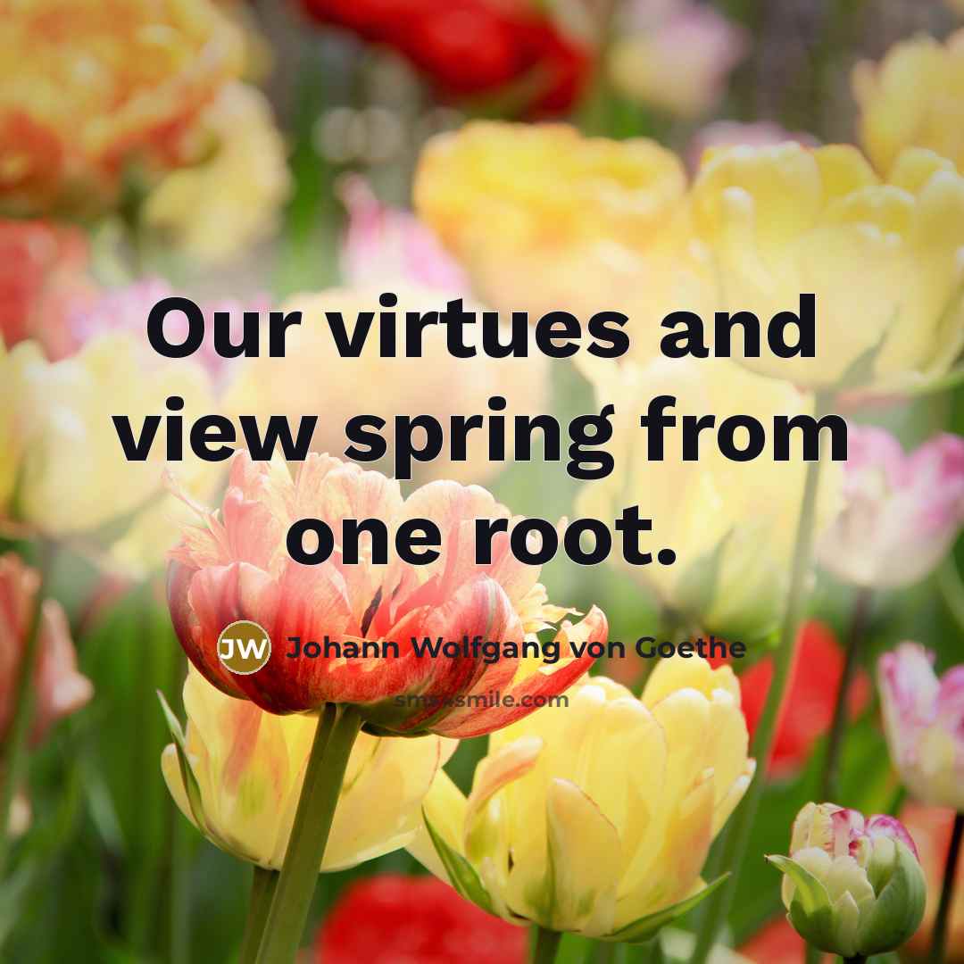 “Our virtues and view spring from one root.…” quote by Johann Wolfgang von Goethe
