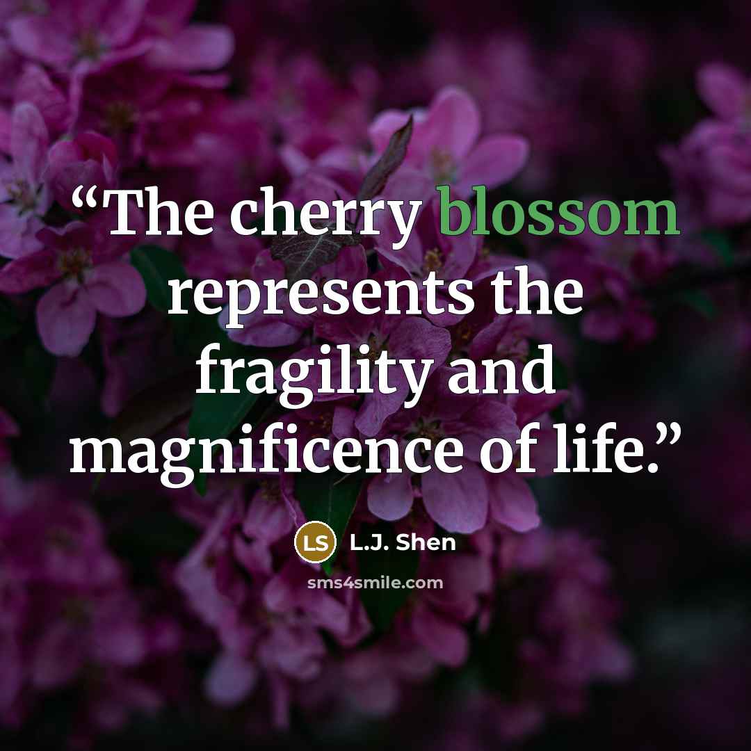 “The cherry blossom represents the fragility and magnificence of life.” quote by L.J. Shen