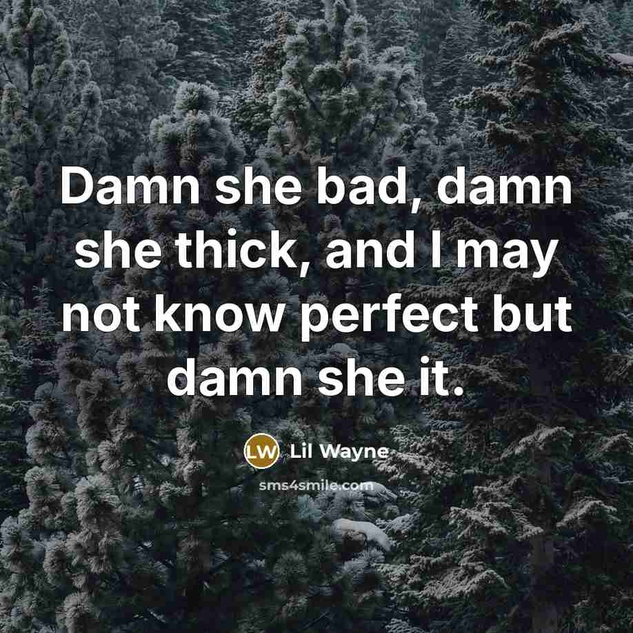 “Damn she bad, damn she thick, and I may not know perfect but damn she it.” quote by Lil Wayne